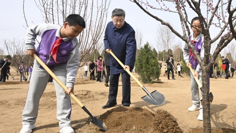 习近平在参加首都义务植树活动时强调 为山川大地增添锦绣 让中国式现代化底色更加亮丽